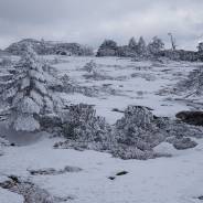 昆明轿子雪山：春城边的雪国秘境