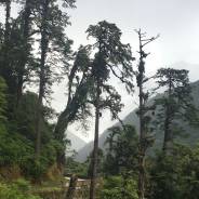 从贡山到独龙江：翡翠江流与银河瀑布